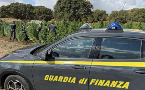 Università, più controlli su borse di studio e alloggi