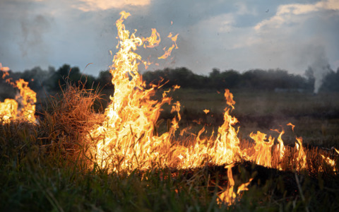 Piemonte, nuove regole contro gli incendi boschivi