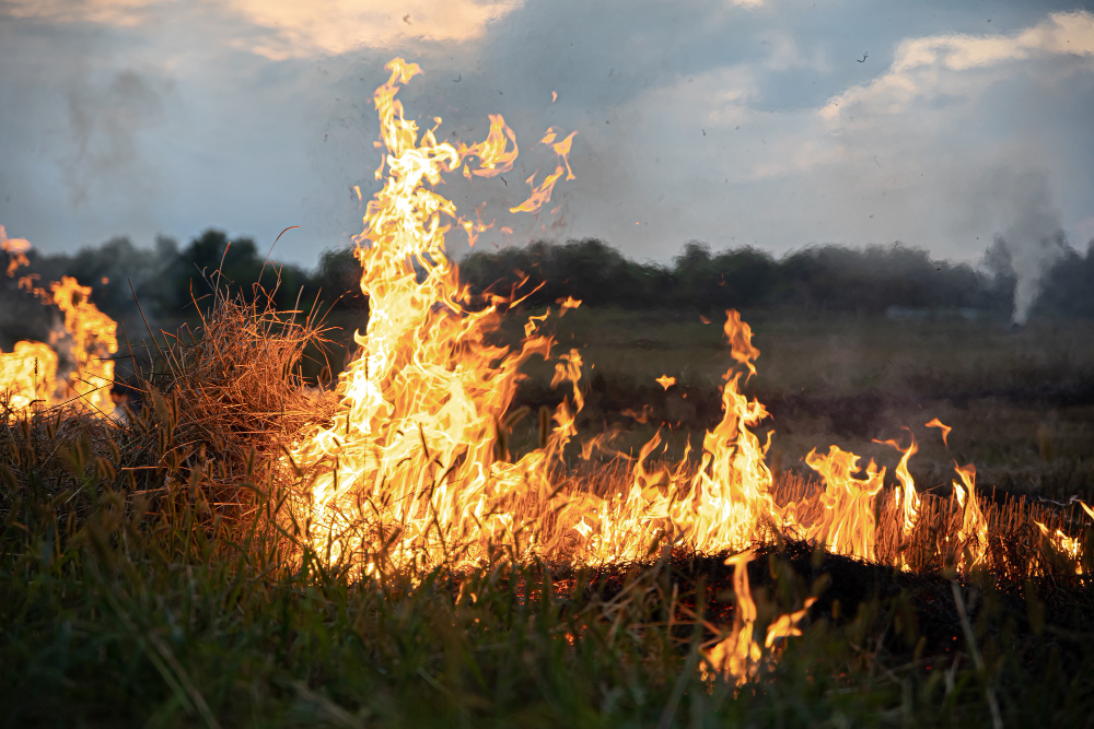 Piemonte, nuove regole contro gli incendi boschivi