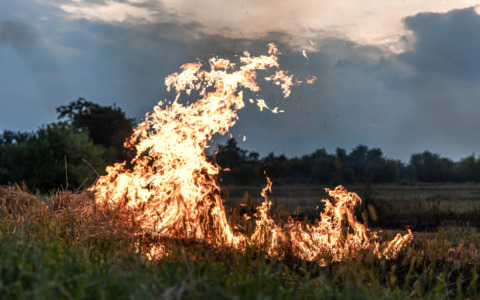 Incendio spento, ora parte la fase post emergenza