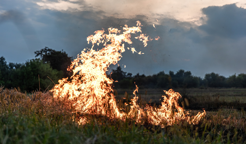 Incendio spento, ora parte la fase post emergenza