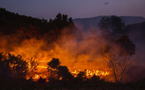 Un gesto per chi spegne le fiamme