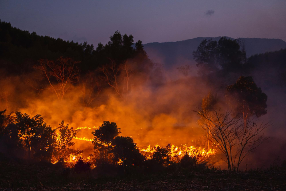 Un gesto per chi spegne le fiamme