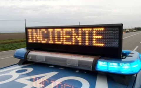 Chiesto l’abbattimento di due branchi di lupi