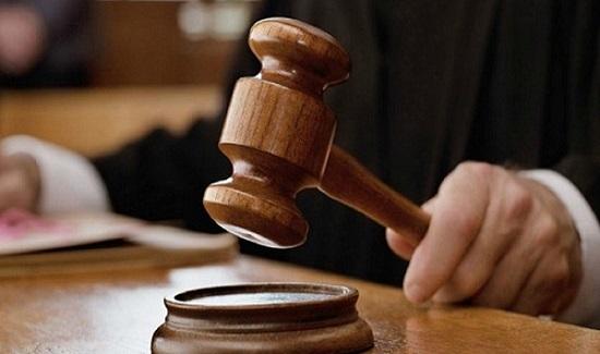Thor, lavori al canile per l’area di sgambamento